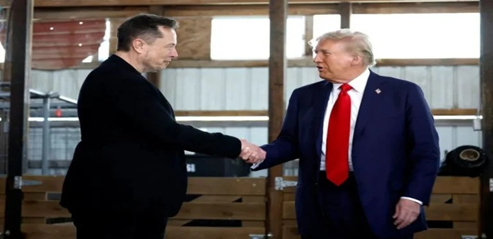 elon musk briga donald trump