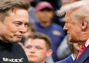 briga elon musk donald trump