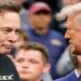 briga elon musk donald trump