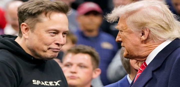briga elon musk donald trump