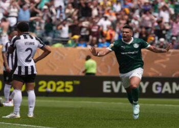 palmeiras x botafogo