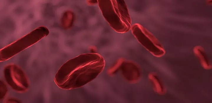 sangue sintético artificial