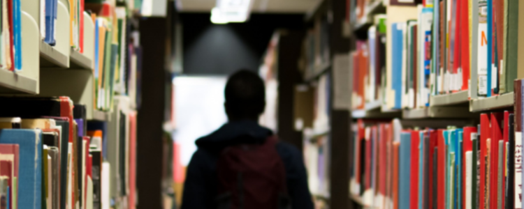 Programa de universidade gratuita em SC teve fraudes por alunos milionários. Governo investiga e MP pode tomar providências. Confira os números.