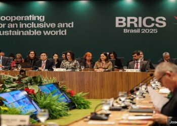 cúpula do brics no brasil