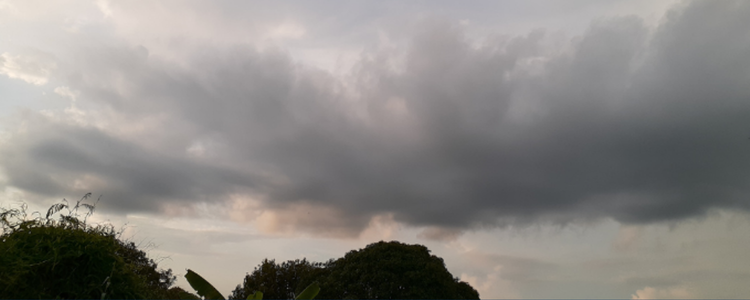 Massa polar avança pelo país causando frio intenso no Sudeste (8°C), geadas no Sul e chuvas fortes no Norte. Centro-Oeste e Nordeste seguem com calor acima de 30°C e baixa umidade.