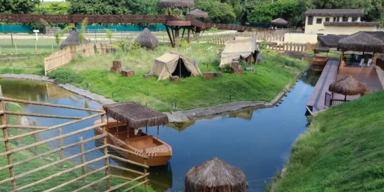 Nove galinhas-d'angola morreram por gripe aviária no BioParque do Rio. Zoológico reabre nesta quinta (24) com restrições na área da savana.