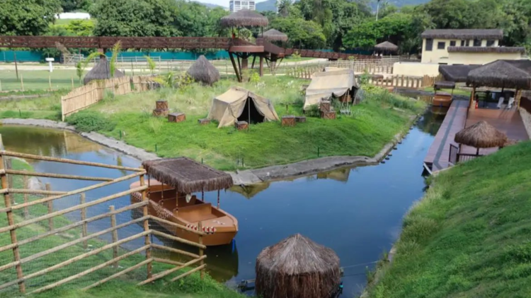Nove galinhas-d'angola morreram por gripe aviária no BioParque do Rio. Zoológico reabre nesta quinta (24) com restrições na área da savana.