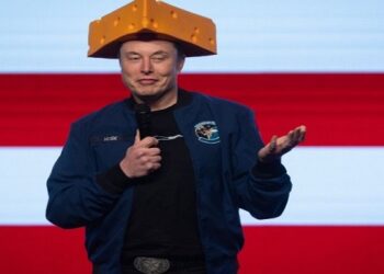 ELON MUSK PARTIDO AMERICA
