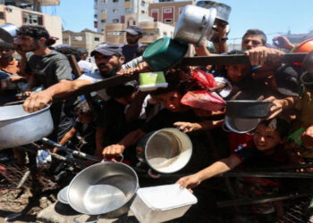 ongs denunciam fome em gaza