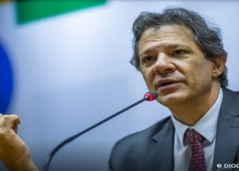 fernando haddad bets