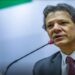 fernando haddad bets