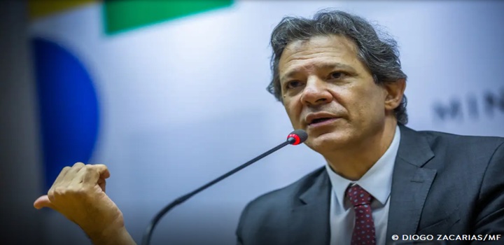 fernando haddad bets