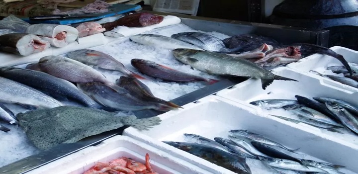 exportações de pescados no brasil x eua