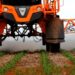El Niño preocupa investidores por impactos no agro, inflação e safras