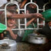 Monitor global IPC, apoiado pela ONU, revela que mais de 500 mil pessoas enfrentam fome em Gaza, com previsão de piora. Israel nega crise e culpa Hamas. Crise humanitária gera alerta internacional e pressão por cessar-fogo.