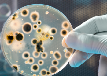 Segundo a Sociedade Brasileira de Infectologia, hospitais brasileiros apresentam falhas graves no uso de antibióticos, aumentando risco de infecções resistentes e ameaçando a saúde pública.