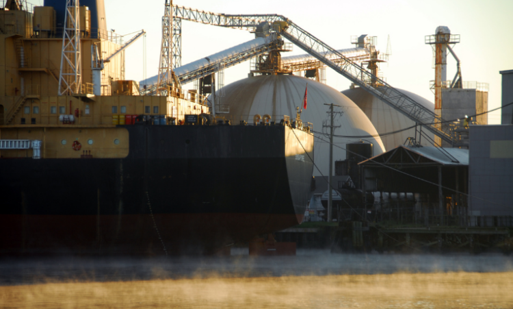 Com quatro fábricas no Paraná, Bahia, Sergipe e Mato Grosso do Sul, Petrobras quer aumentar produção nacional e fortalecer o agronegócio brasileiro até 2028.