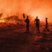 A Espanha enfrenta uma onda de calor histórica que já provocou mais de 1.100 mortes e incêndios florestais recordes, com graves impactos ambientais e sociais em toda a Península Ibérica.