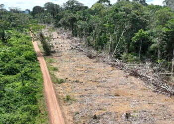 Lula sanciona com vetos a nova lei do licenciamento ambiental. Governo barra retrocessos, mantém proteção à Mata Atlântica e obriga respeito a comunidades indígenas e quilombolas.