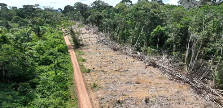 Lula sanciona com vetos a nova lei do licenciamento ambiental. Governo barra retrocessos, mantém proteção à Mata Atlântica e obriga respeito a comunidades indígenas e quilombolas.