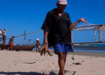 Setor pesqueiro do Ceará, líder nacional em exportações, teme perdas com sobretaxa de 50% dos EUA. Impactos podem reduzir renda de 32 mil pescadores artesanais.