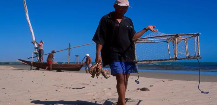 Setor pesqueiro do Ceará, líder nacional em exportações, teme perdas com sobretaxa de 50% dos EUA. Impactos podem reduzir renda de 32 mil pescadores artesanais.