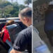 Professora de 49 anos foi presa preventivamente após agredir um menino de 4 anos com uma pilha de livros em escola de educação infantil. Criança sofreu lesões graves e trauma emocional.