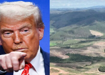 Jazida de terras raras em Minas Gerais chama atenção dos Estados Unidos, que já iniciaram negociações com o governo brasileiro