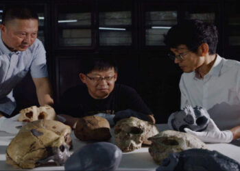 Estudo revela que o crânio Yunxian 2, de 1 milhão de anos, indica que o Homo sapiens começou a se diferenciar 400 mil anos antes do estimado, complicando a árvore da evolução humana.
