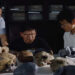 Estudo revela que o crânio Yunxian 2, de 1 milhão de anos, indica que o Homo sapiens começou a se diferenciar 400 mil anos antes do estimado, complicando a árvore da evolução humana.