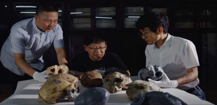 Estudo revela que o crânio Yunxian 2, de 1 milhão de anos, indica que o Homo sapiens começou a se diferenciar 400 mil anos antes do estimado, complicando a árvore da evolução humana.