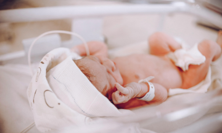 Corte Interamericana julga Brasil por mortes de 96 recém-nascidos em Cabo Frio (RJ) entre 1996 e 1997. Famílias pedem reconhecimento de responsabilidade, indenizações e melhorias na saúde neonatal.