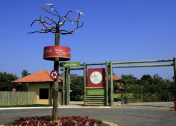 Neste sábado, 20 de setembro, Rio das Ostras floresce com o evento Cur'Art. Participe de uma jornada gratuita de arte, cultura e autoconhecimento no Parque dos Pássaros. Programação para toda a família!