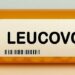 Leucovorina, derivada da vitamina B, teve uso ampliado nos EUA para casos de autismo após anúncio de Trump. Cientistas questionam a decisão e pedem mais estudos.