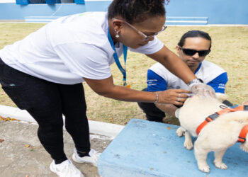 Neste sábado (27), Macaé promove o Dia D Estadual de Vacinação Antirrábica em 12 pontos de imunização. A vacina é gratuita e essencial para prevenir a raiva em animais e humanos.