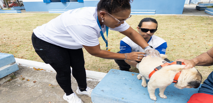 Neste sábado (27), Macaé promove o Dia D Estadual de Vacinação Antirrábica em 12 pontos de imunização. A vacina é gratuita e essencial para prevenir a raiva em animais e humanos.