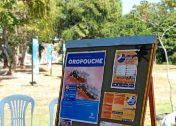 Ações alertam para riscos da febre oropouche em gestantes e reforçam medidas de proteção contra mosquitos.