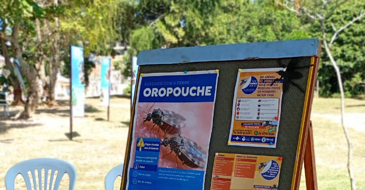 Ações alertam para riscos da febre oropouche em gestantes e reforçam medidas de proteção contra mosquitos.