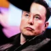 Elon Musk lança a Grokipedia, enciclopédia digital que promete ser mais neutra que a Wikipédia.