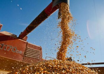Setor agrícola americano enfrenta dificuldades e pode receber até US$ 14 bilhões em ajuda federal