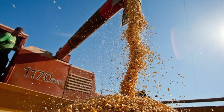 Setor agrícola americano enfrenta dificuldades e pode receber até US$ 14 bilhões em ajuda federal