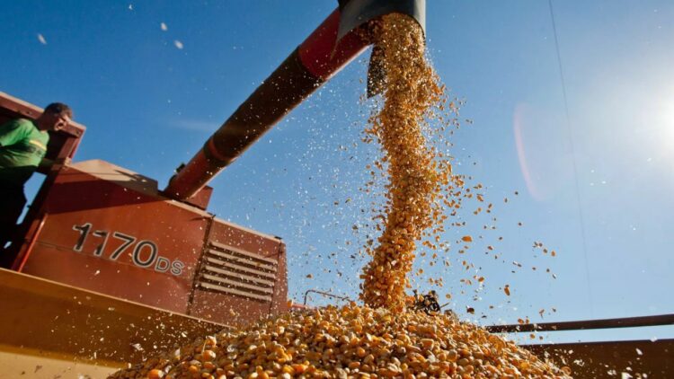 Setor agrícola americano enfrenta dificuldades e pode receber até US$ 14 bilhões em ajuda federal