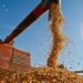 Setor agrícola americano enfrenta dificuldades e pode receber até US$ 14 bilhões em ajuda federal