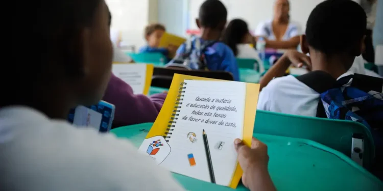 Supremo garante liberdade de ensino e invalida normas que vetavam temas de gênero nas escolas.