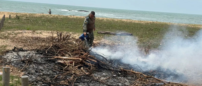 Fogo em restinga de Cabo Frio é contido antes de se espalhar
