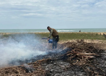 Guarda Marítima age rápido e evita novo incêndio em área de restinga em Tamoios