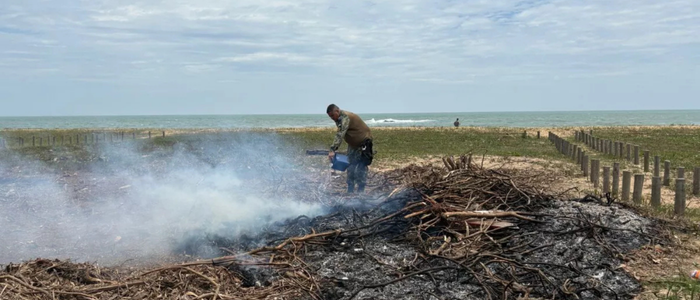 Guarda Marítima age rápido e evita novo incêndio em área de restinga em Tamoios