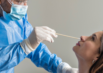 OMS muda classificação do vírus da dengue e facilita identificação de variantes no Brasil