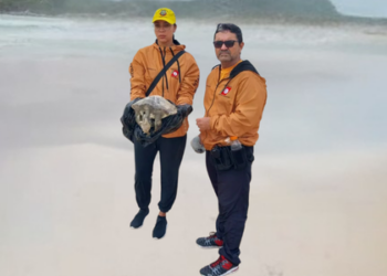Ações da Guarda Ambiental de Cabo Frio salvam animais marinhos e silvestres