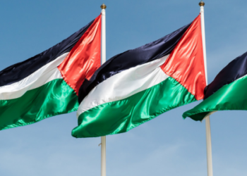 Médicos de Gaza afirmam que corpos devolvidos por Israel apresentam indícios de tortura e execução. Casos foram relatados ao The Guardian e à Cruz Vermelha.